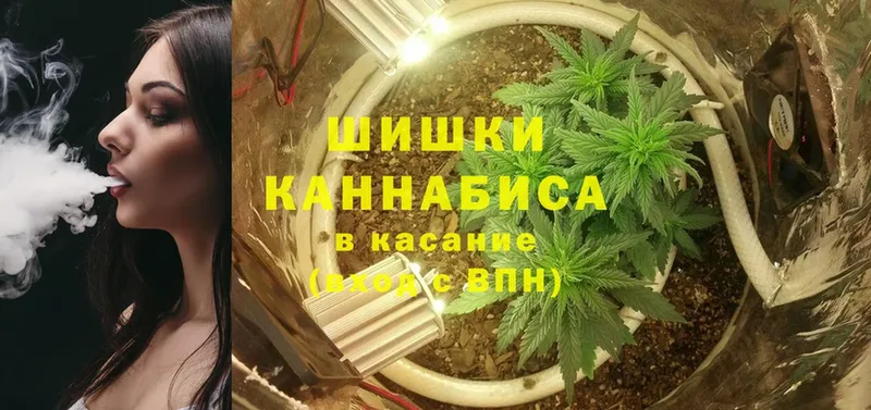 купить наркотик  Киселёвск  Бошки марихуана SATIVA & INDICA 